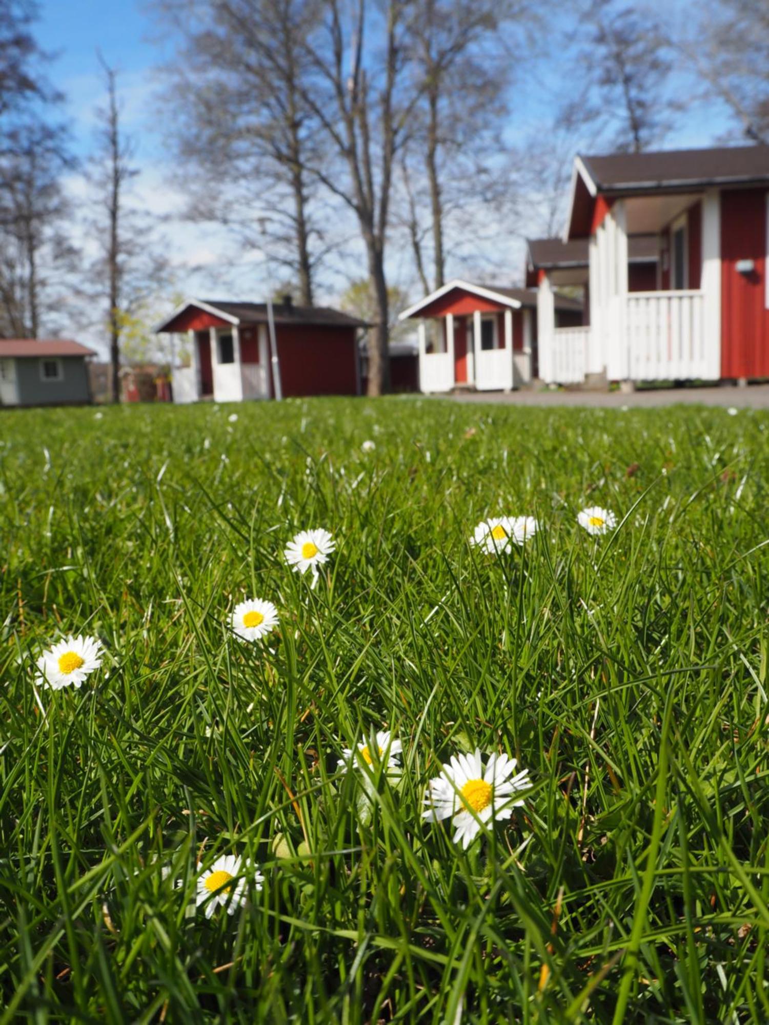 Skara Stads-Camping & Stugby Eksteriør billede